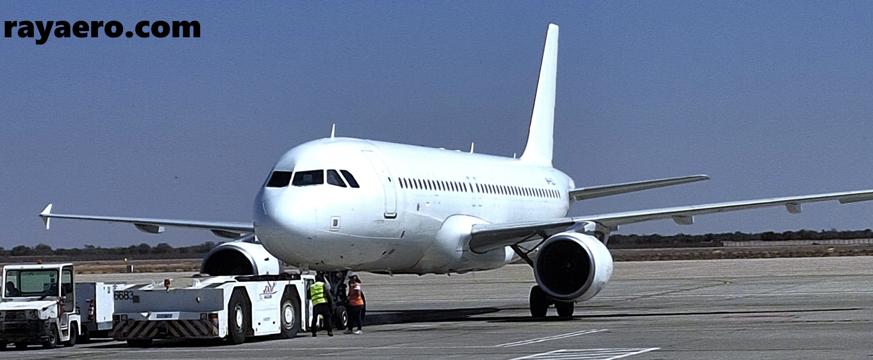 rayaeo's A320-200 pic